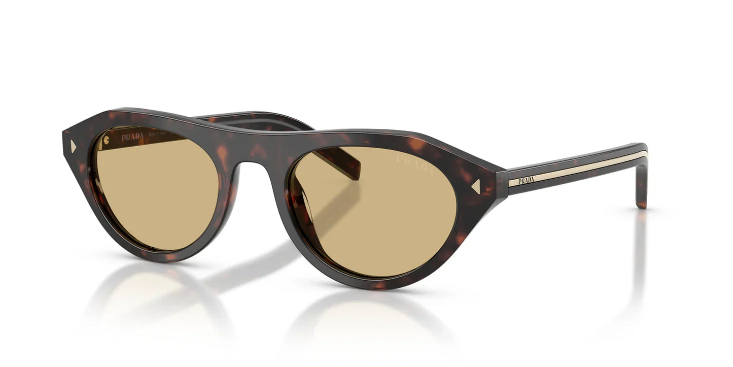 PR B15S Sunglasses