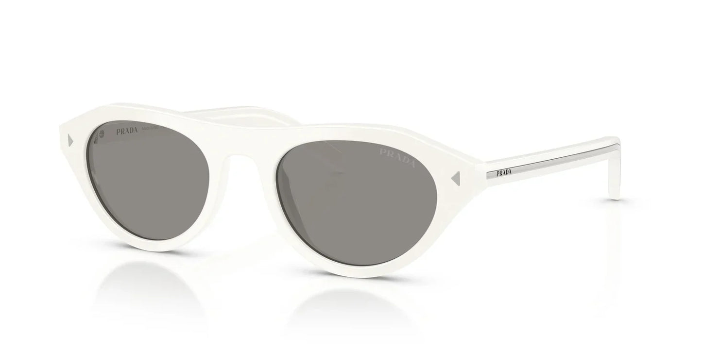 PR B15S Sunglasses